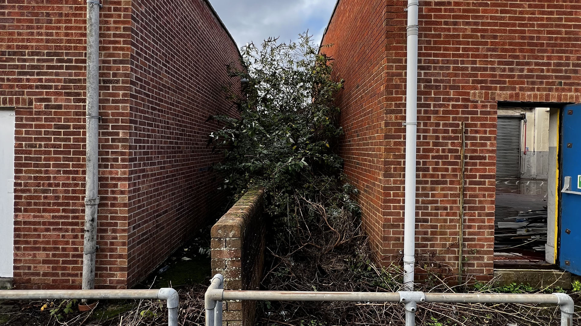 Who Should You Contact First — The Council, a Surveyor, or Your Neighbour Ipswich?